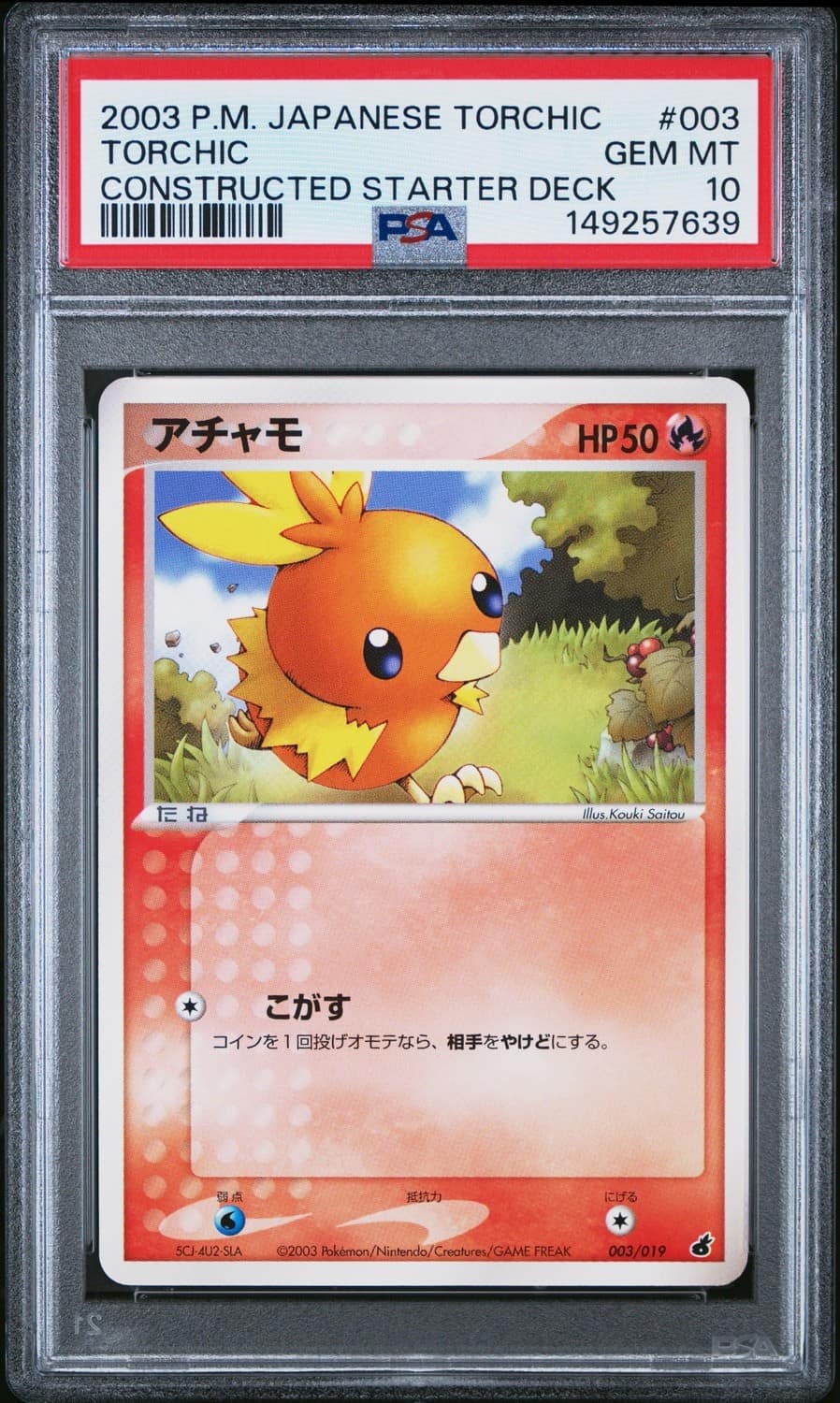 Torchic