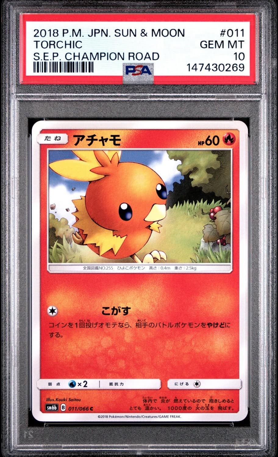 Torchic