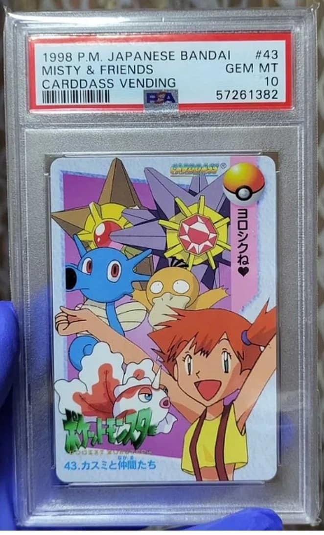 Misty & Friends