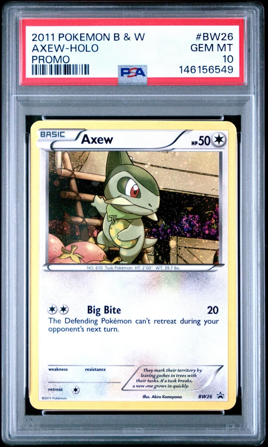 Axew