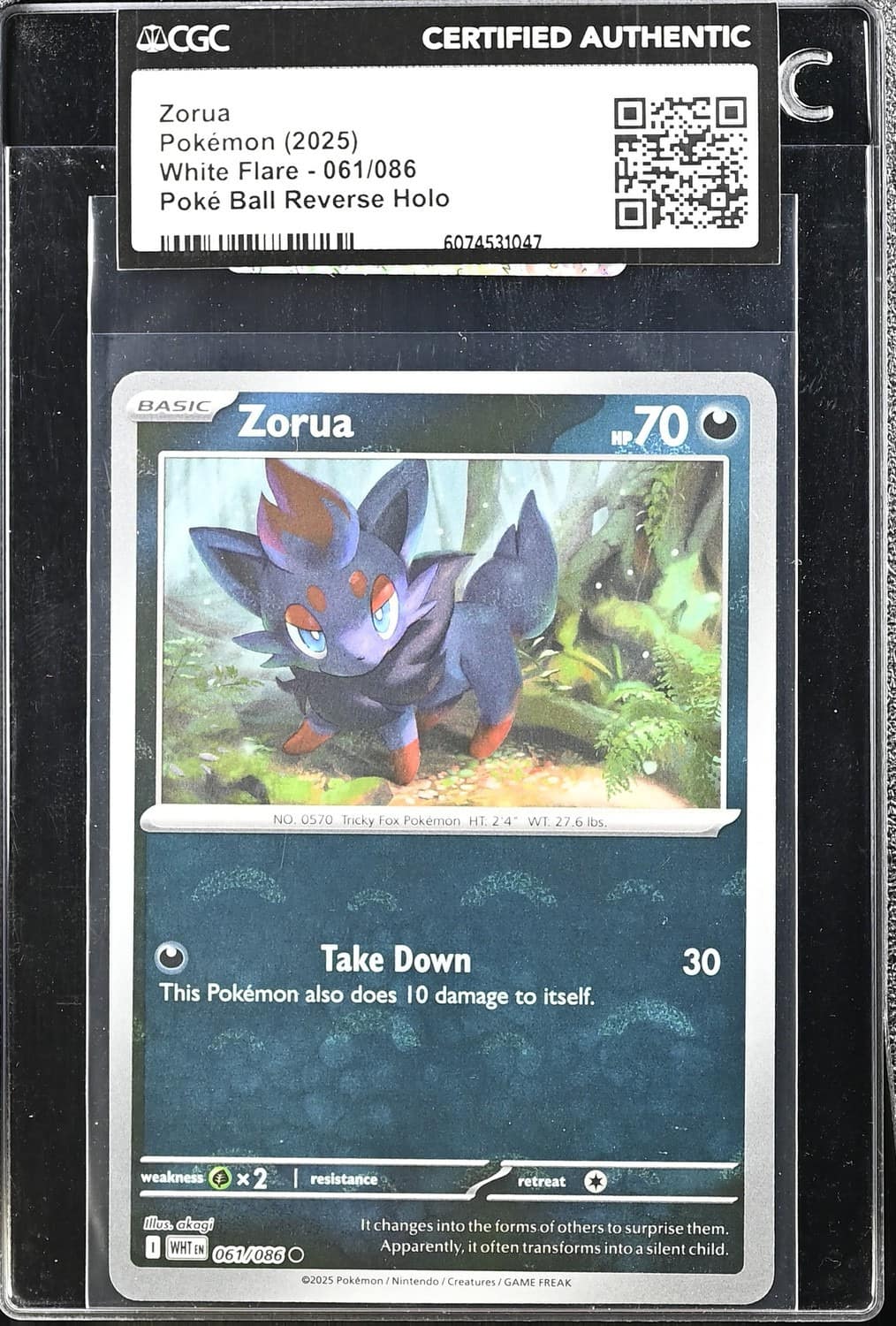 Zorua