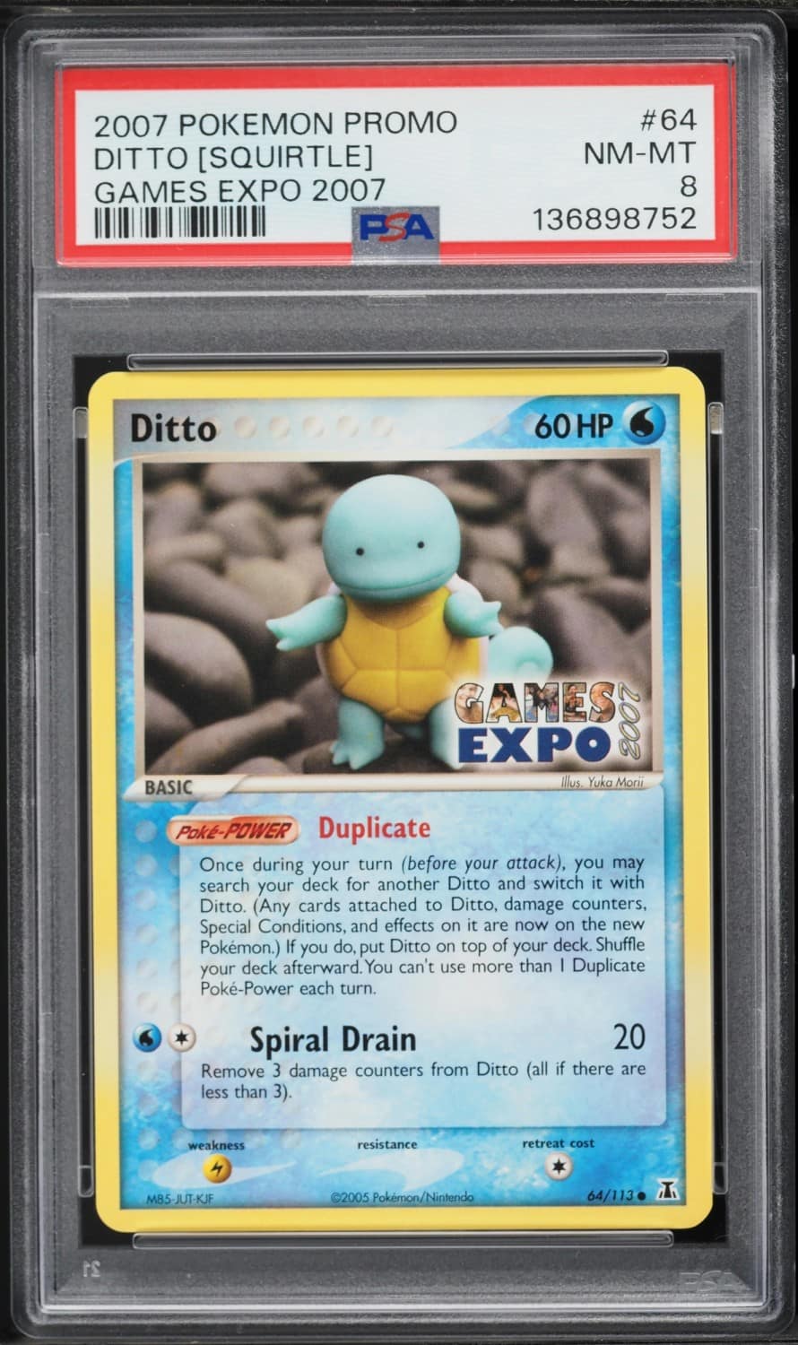 Ditto [squirtle]