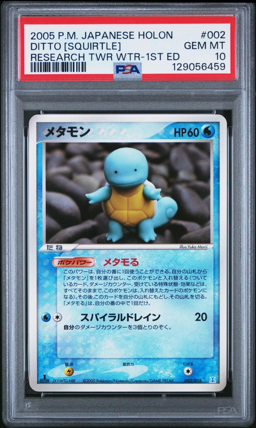 Ditto [squirtle]