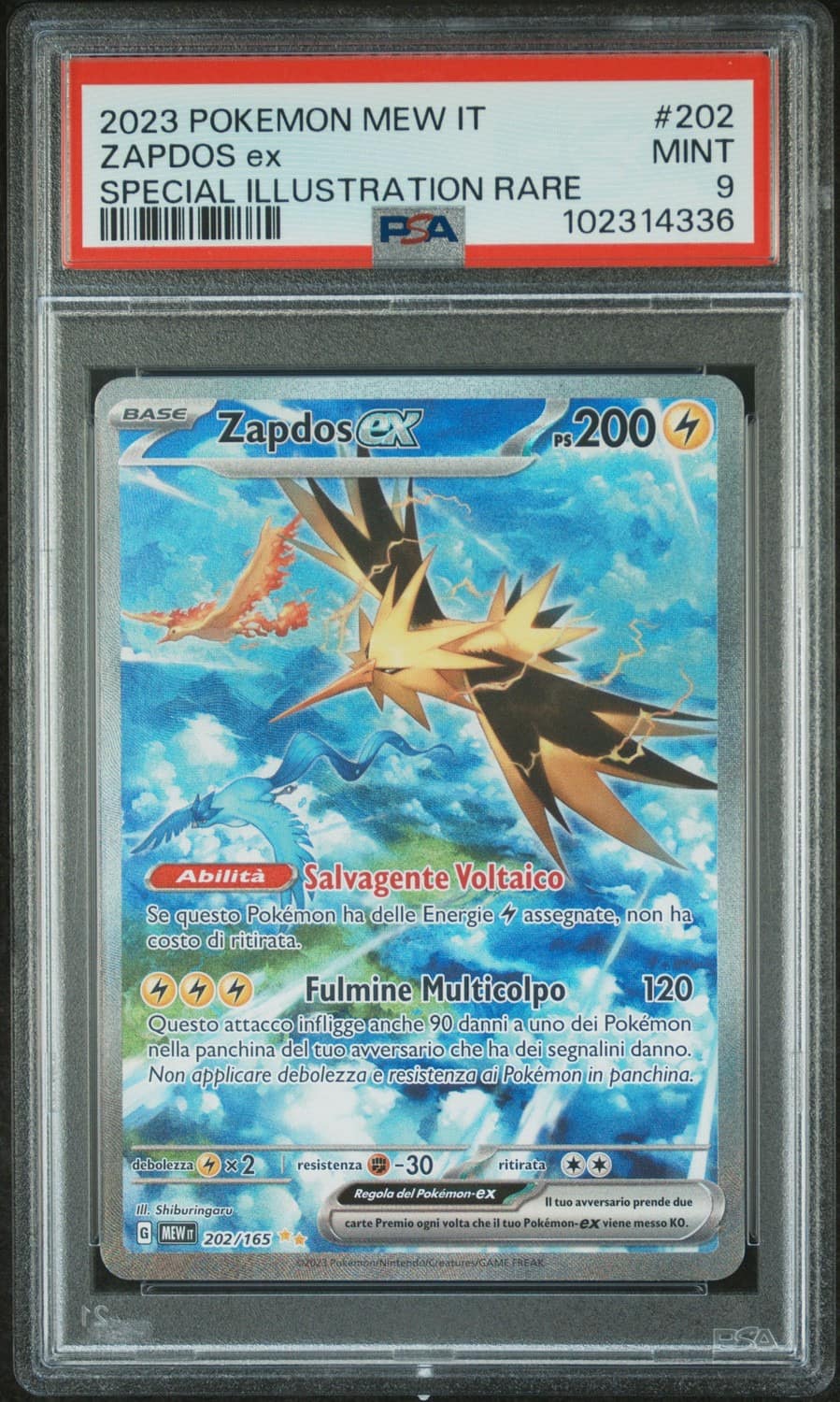 Zapdos Ex