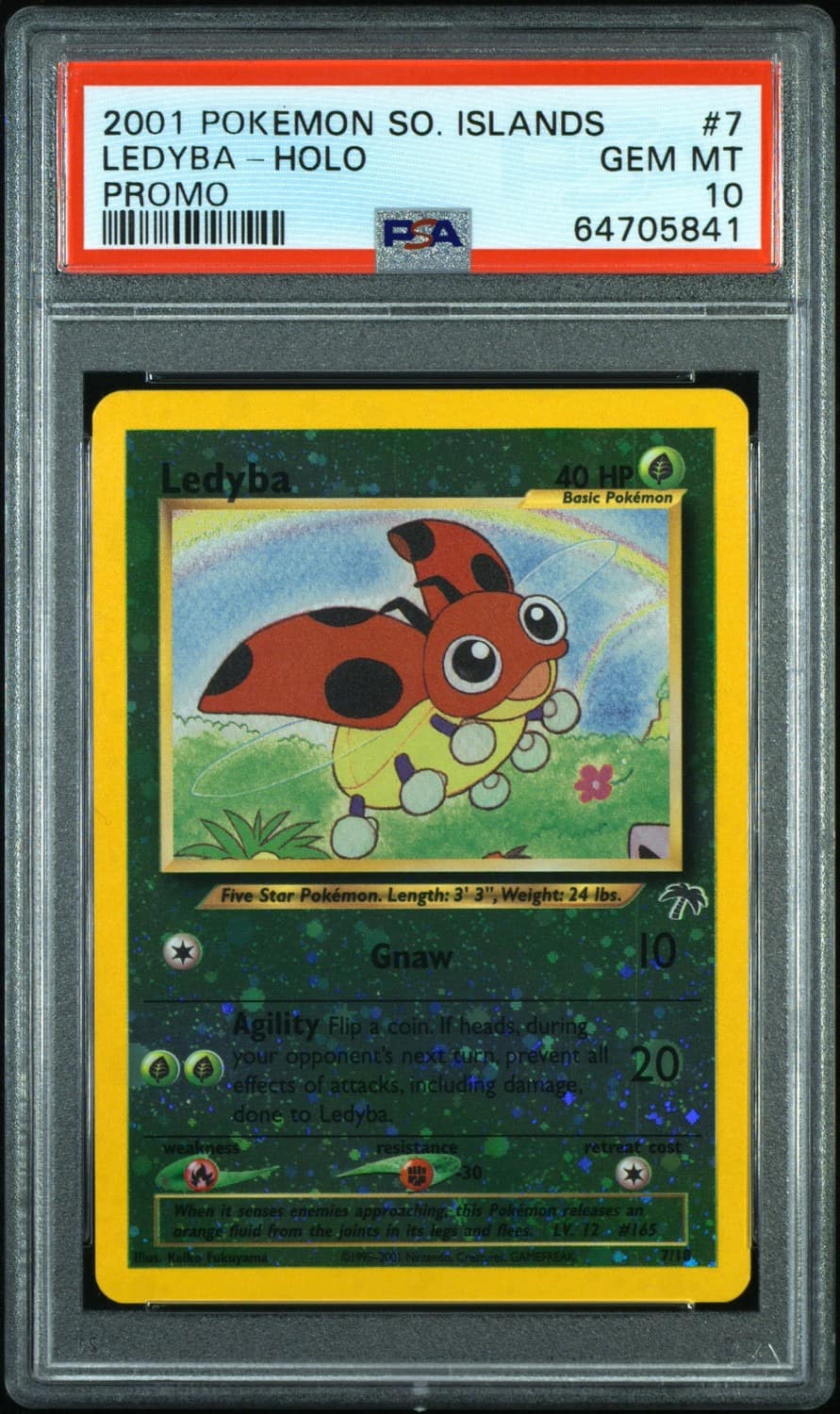 Ledyba