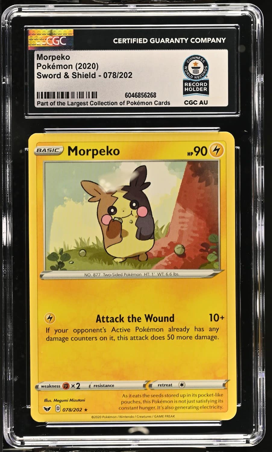 Morpeko