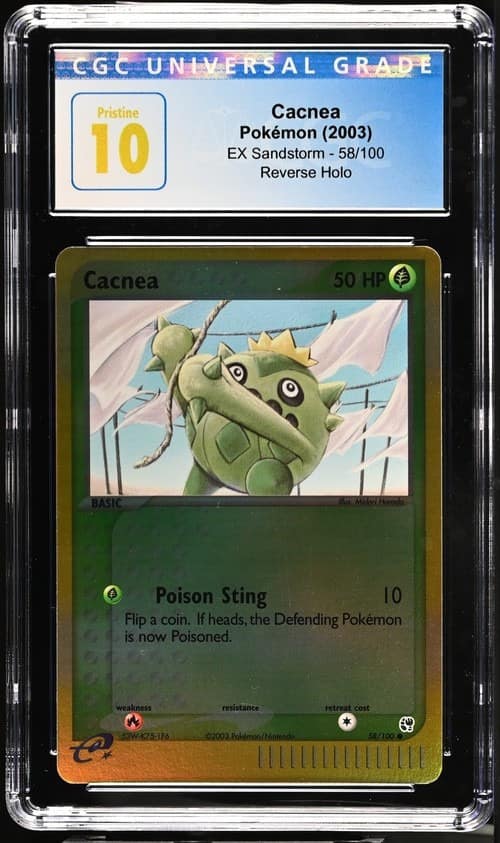 Cacnea