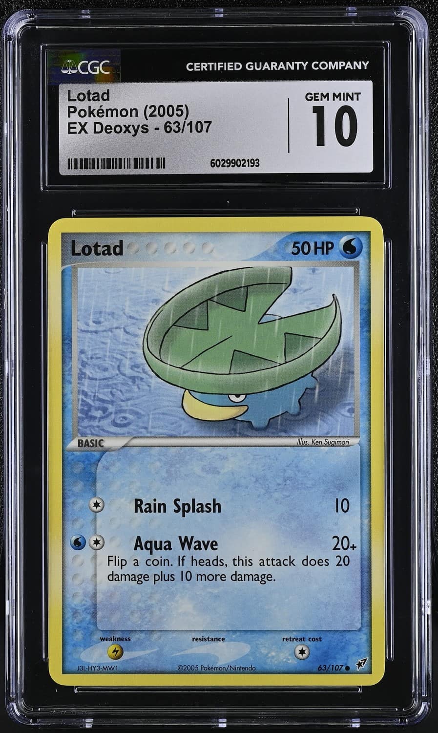 Lotad
