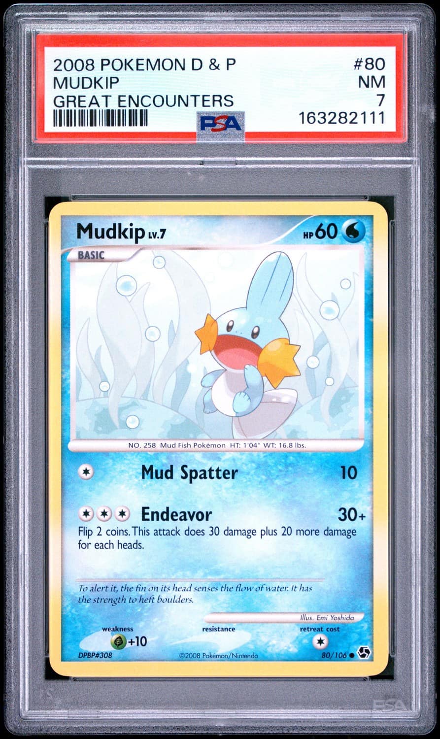 Mudkip