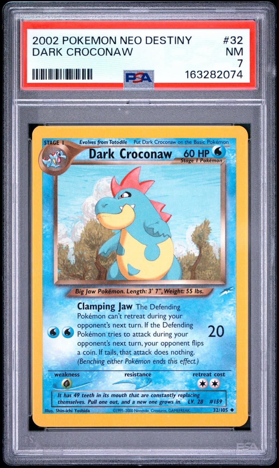 Dark Croconaw