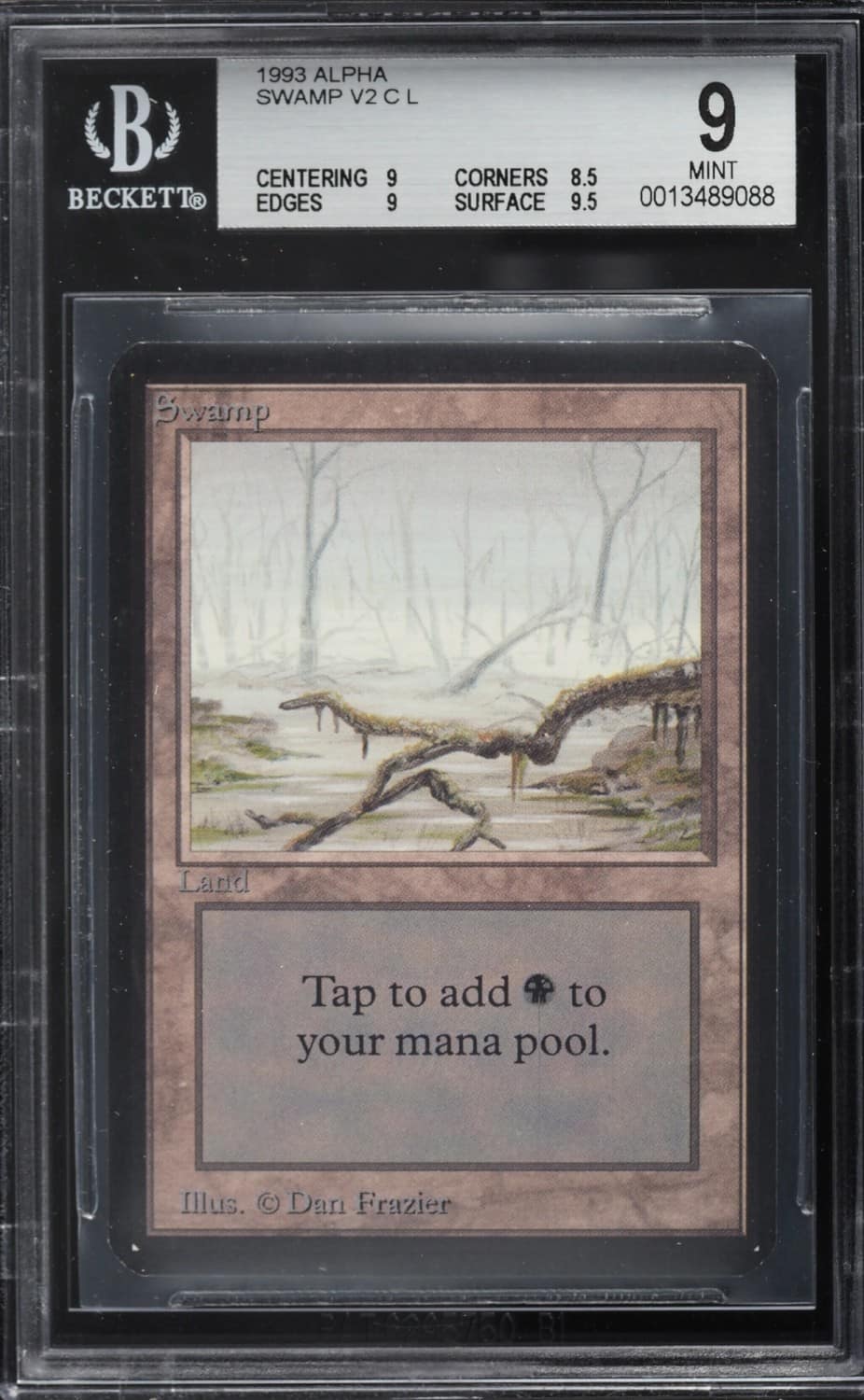 Swamp V2 L