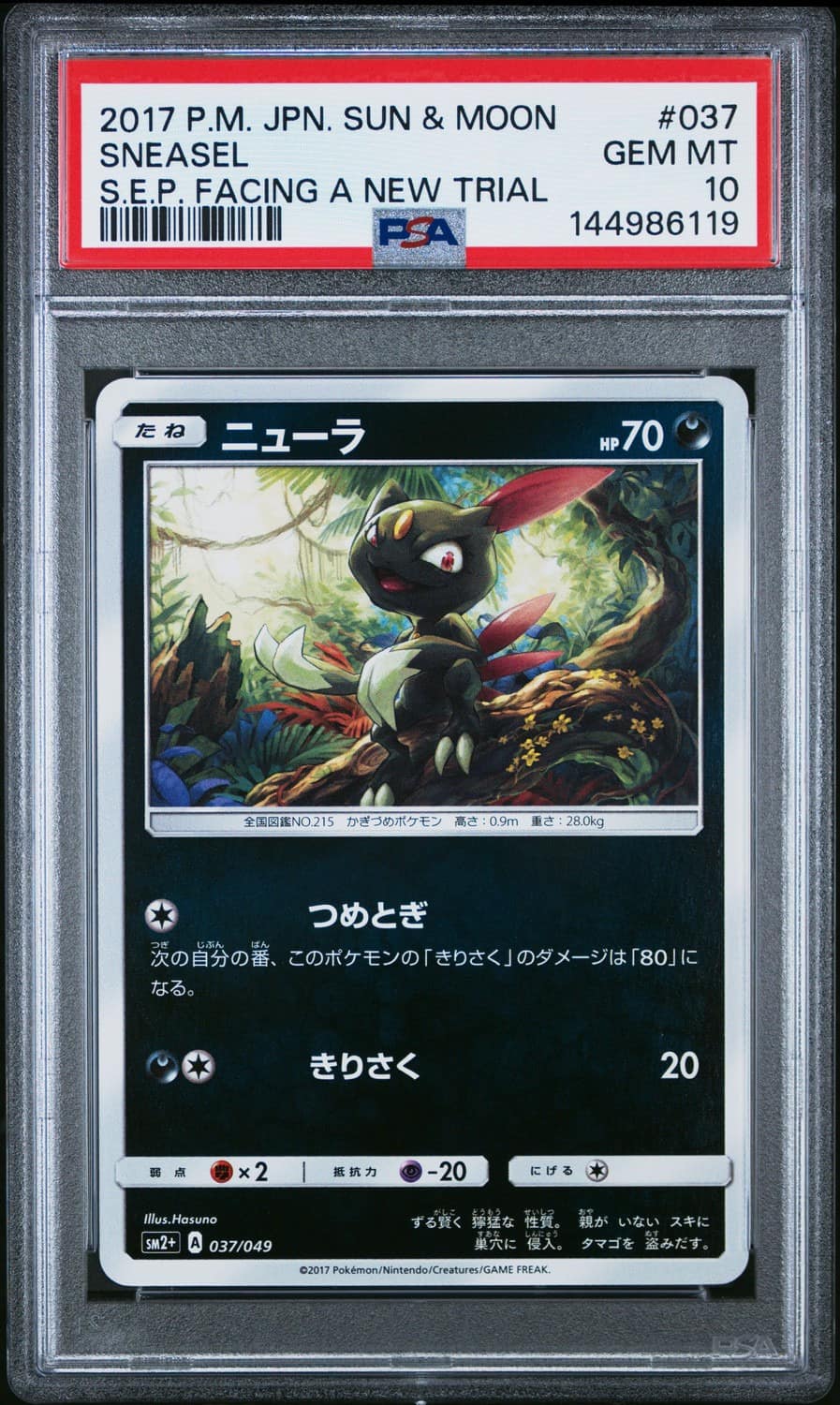 Sneasel