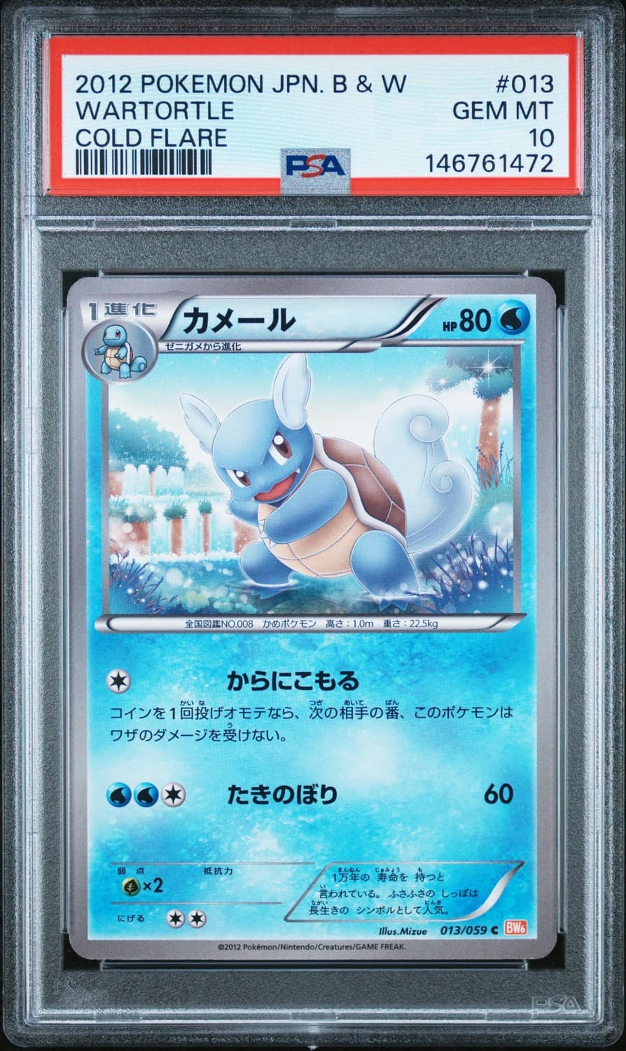 Wartortle