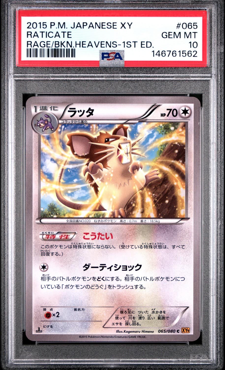 Raticate
