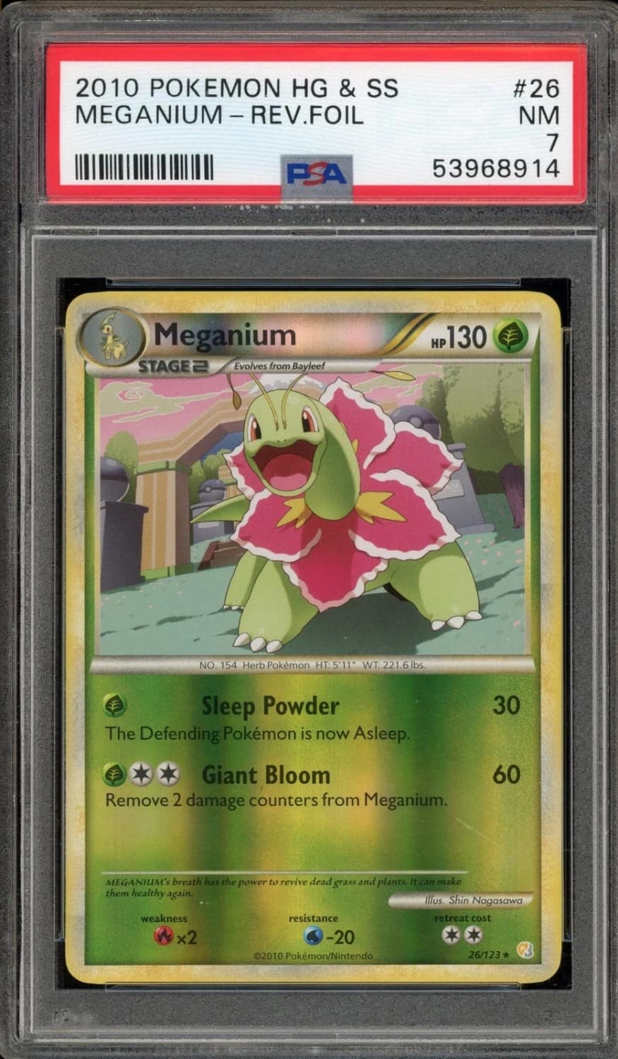 Meganium