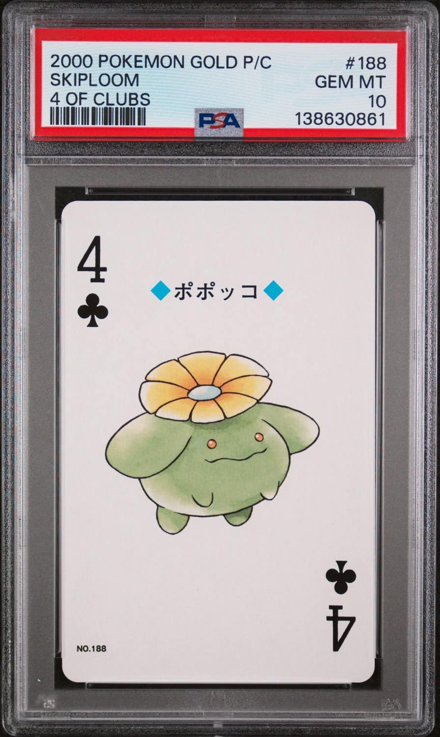 Skiploom