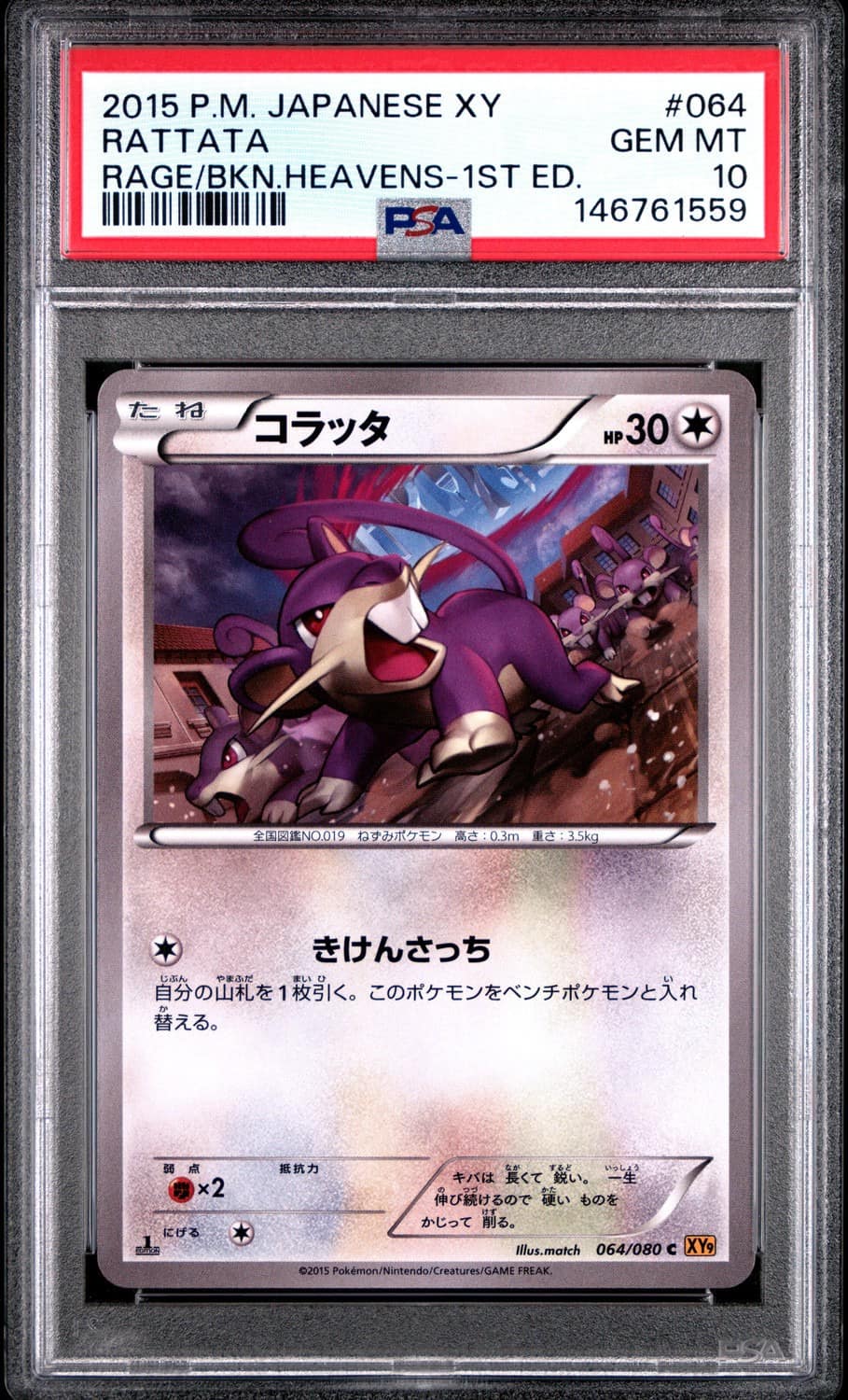 Rattata