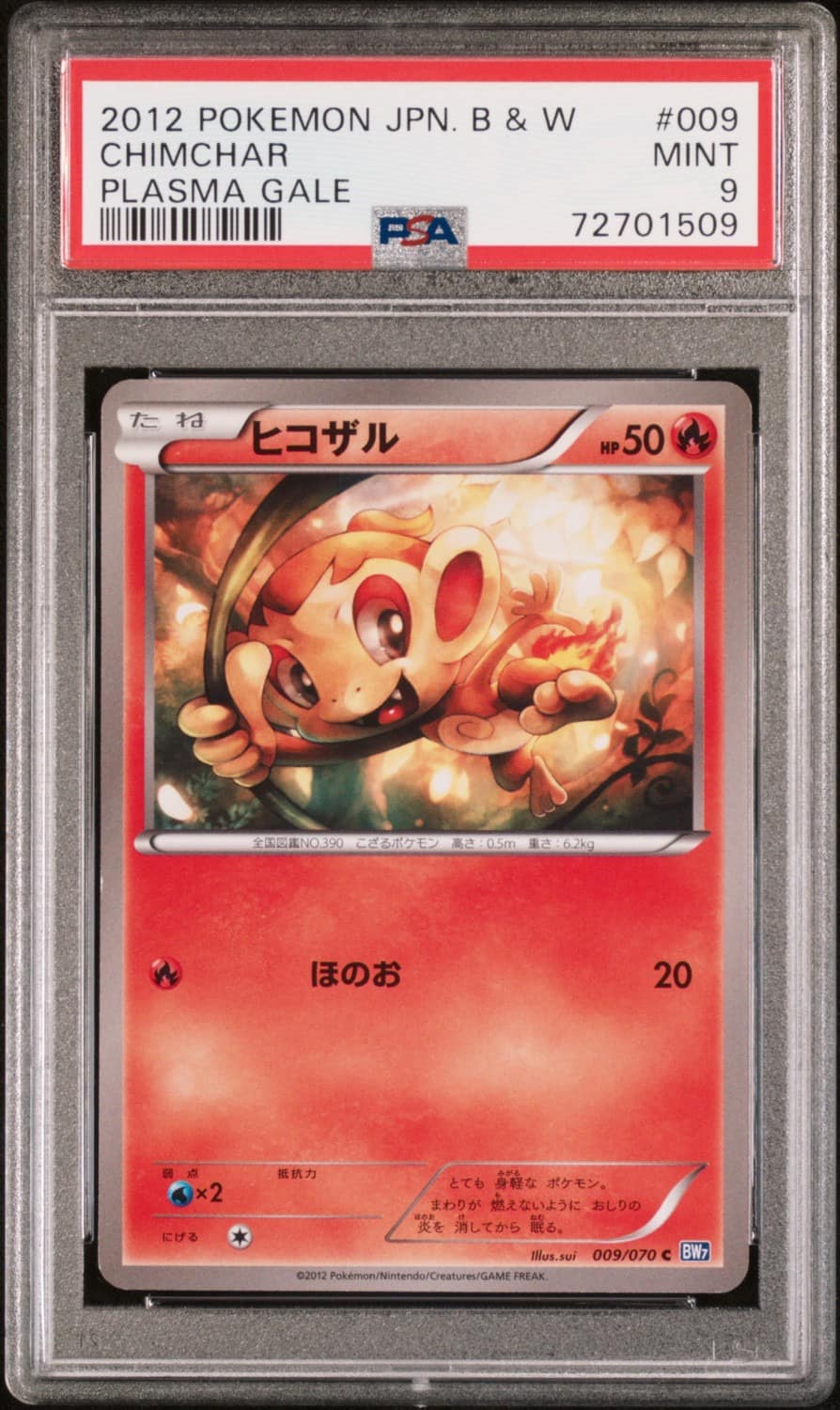 Chimchar