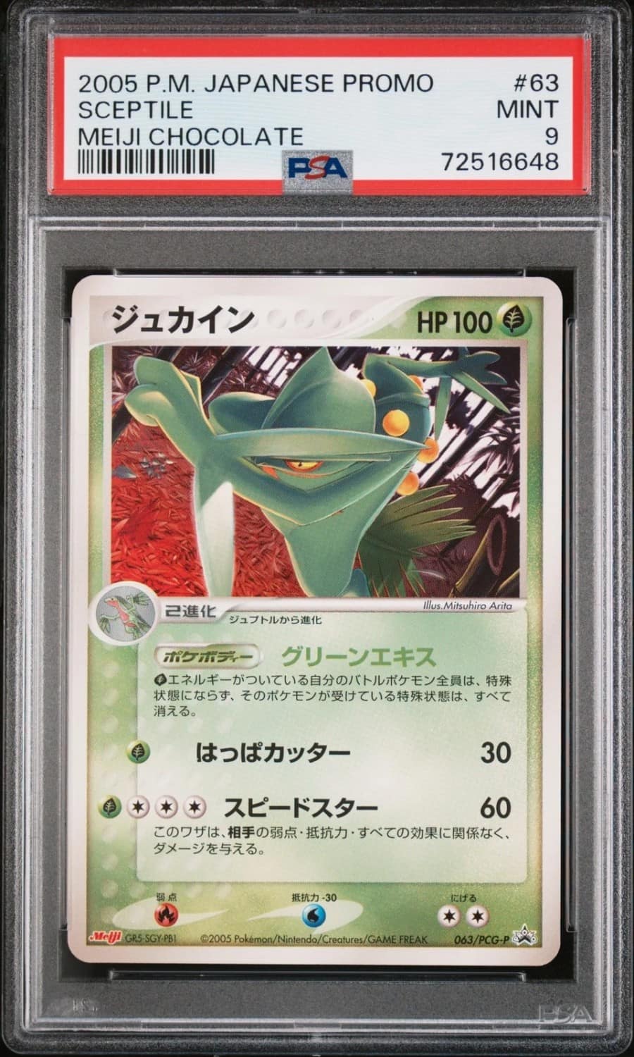 Sceptile