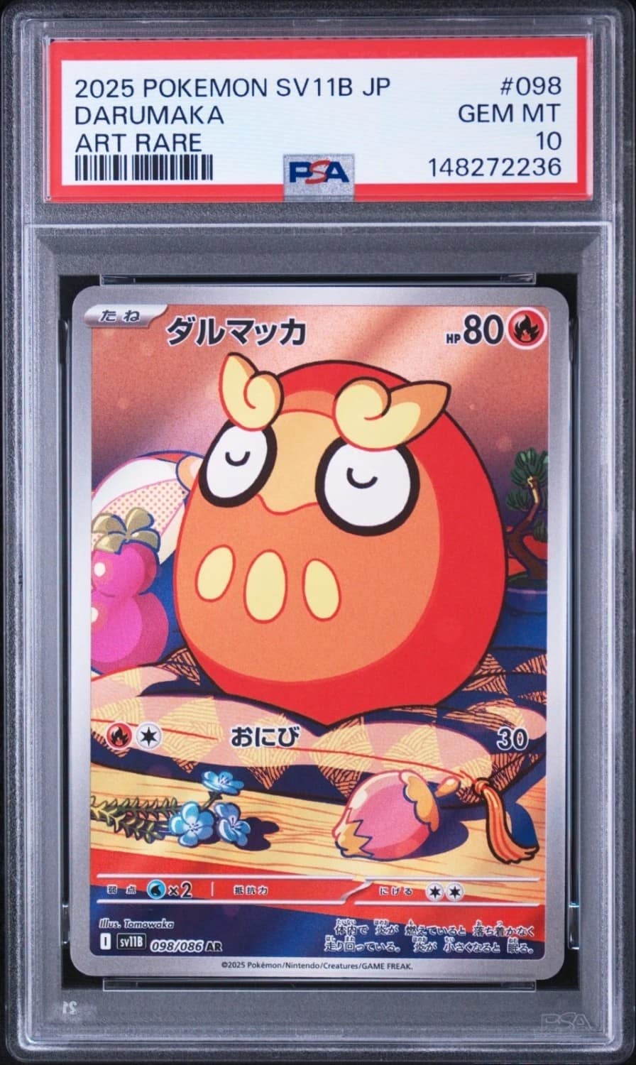 Darumaka