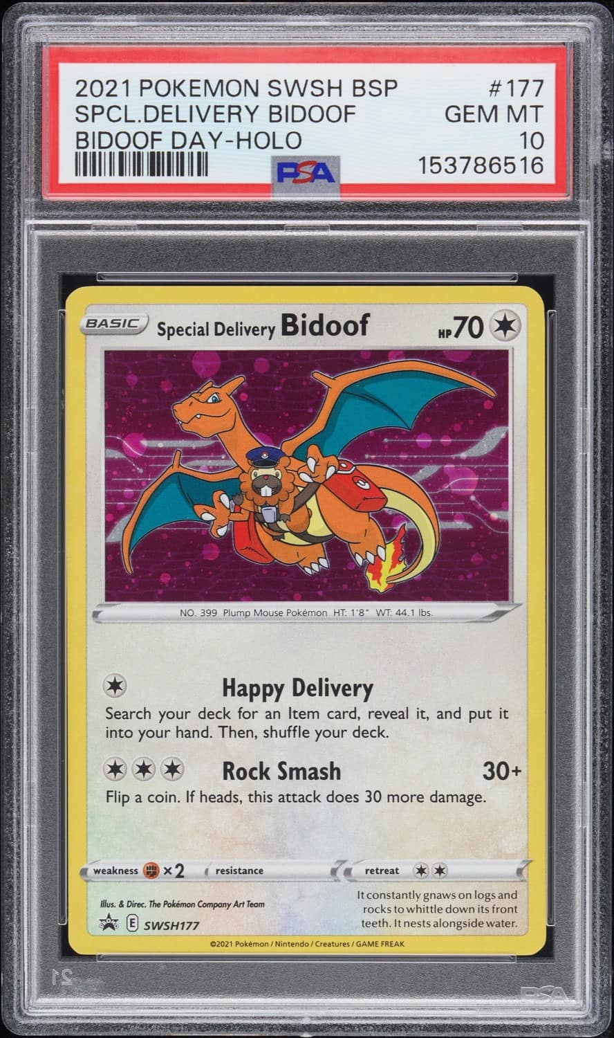 Special Delivery Bidoof