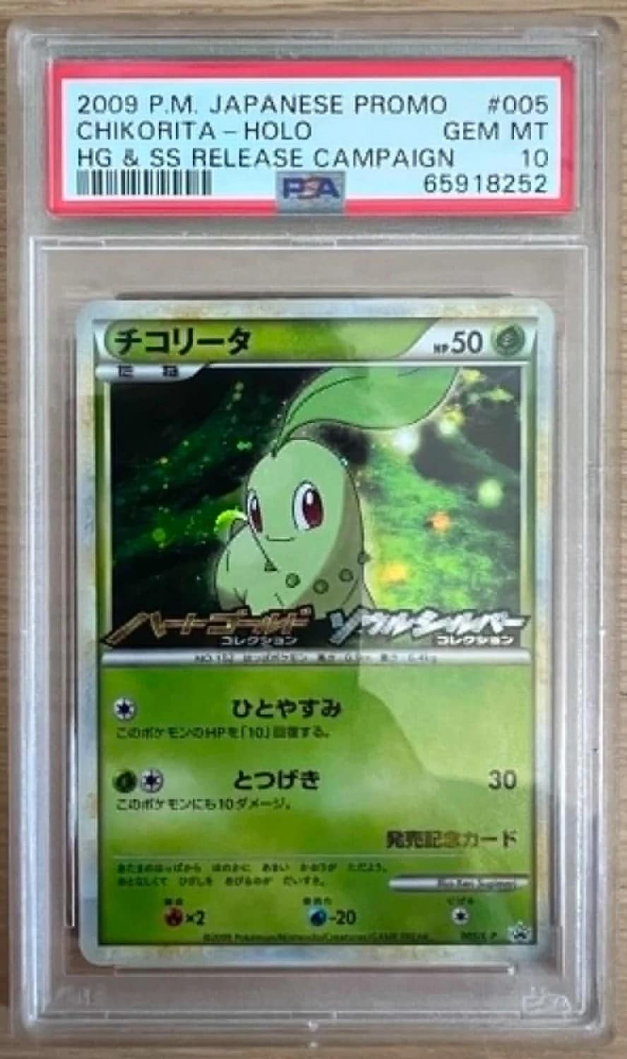 Chikorita