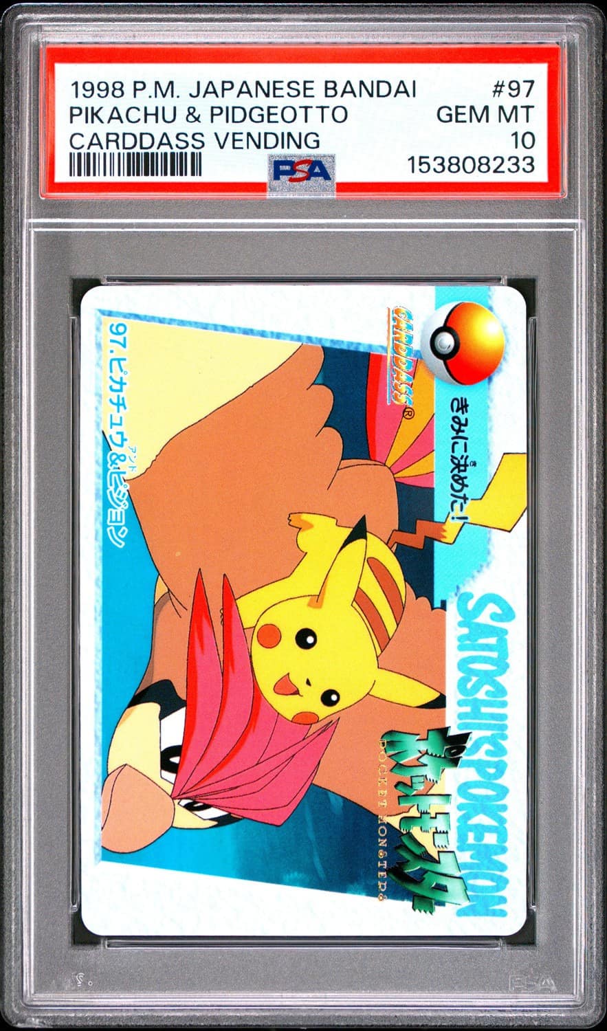 Pikachu & Pidgeotto