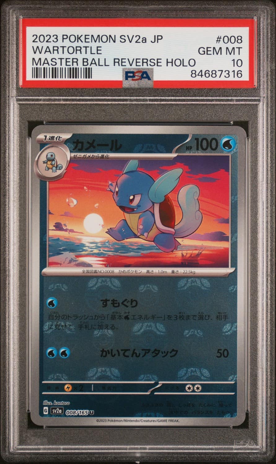Wartortle