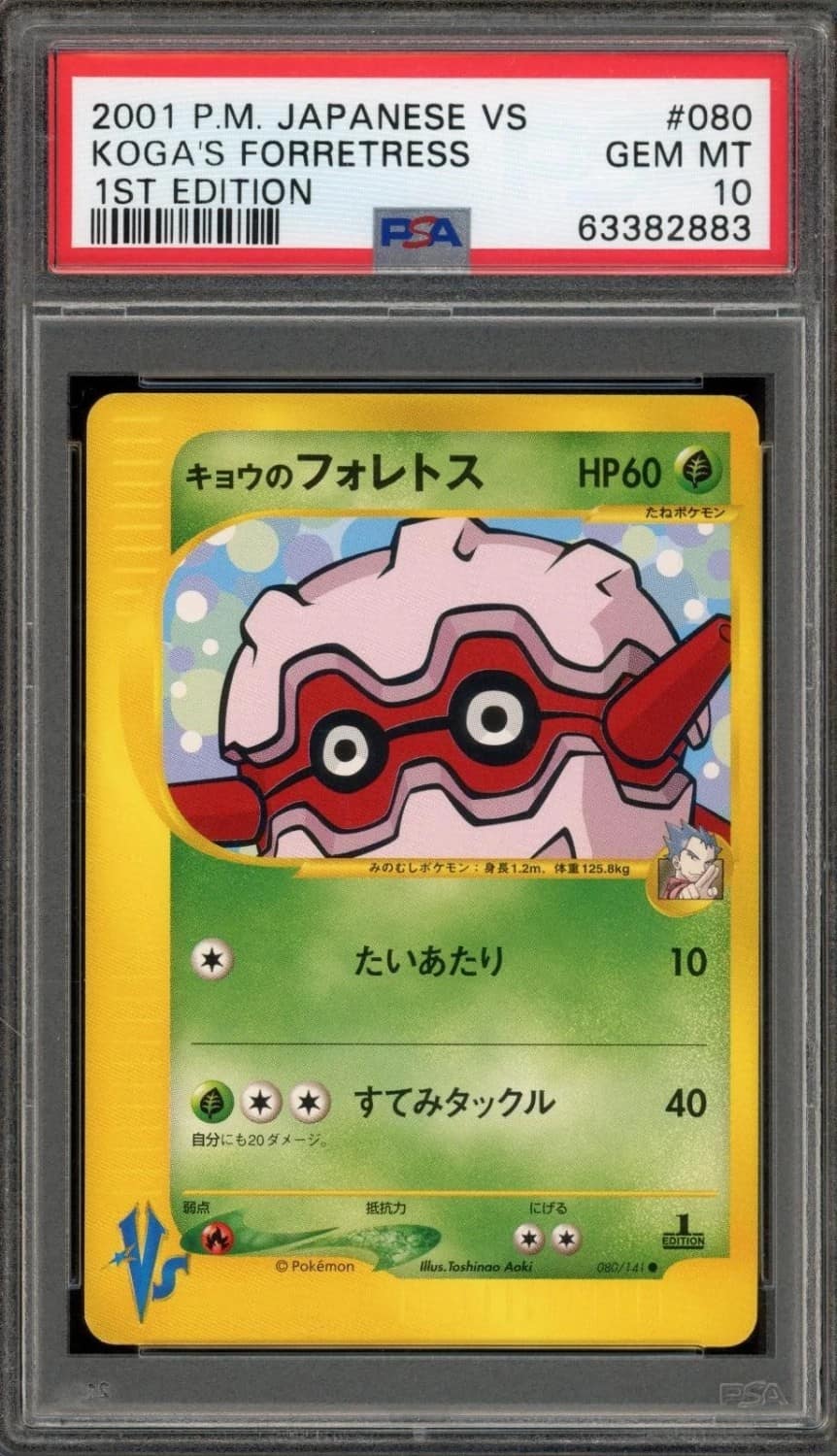 Koga'S Forretress