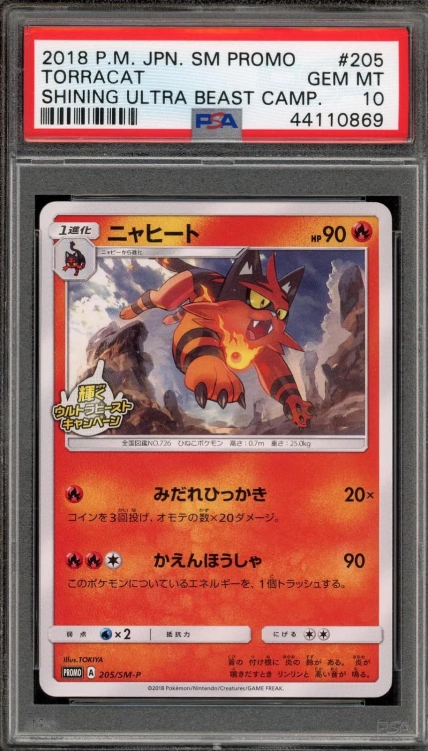 Torracat
