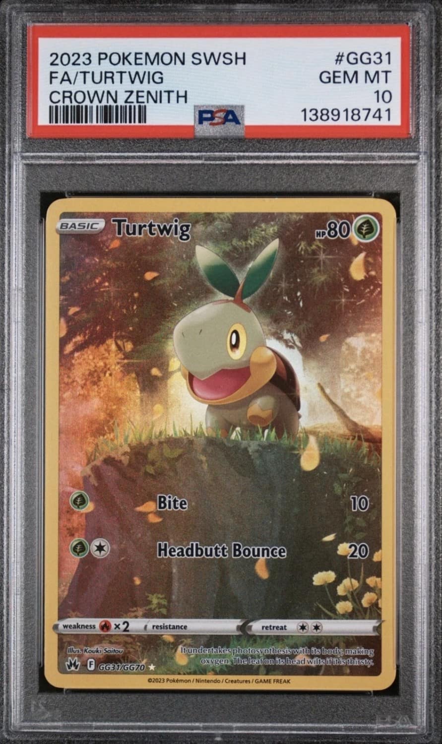 Turtwig