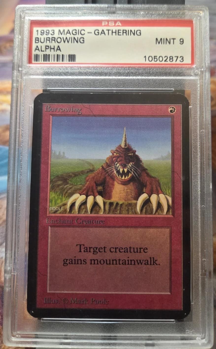 Burrowing