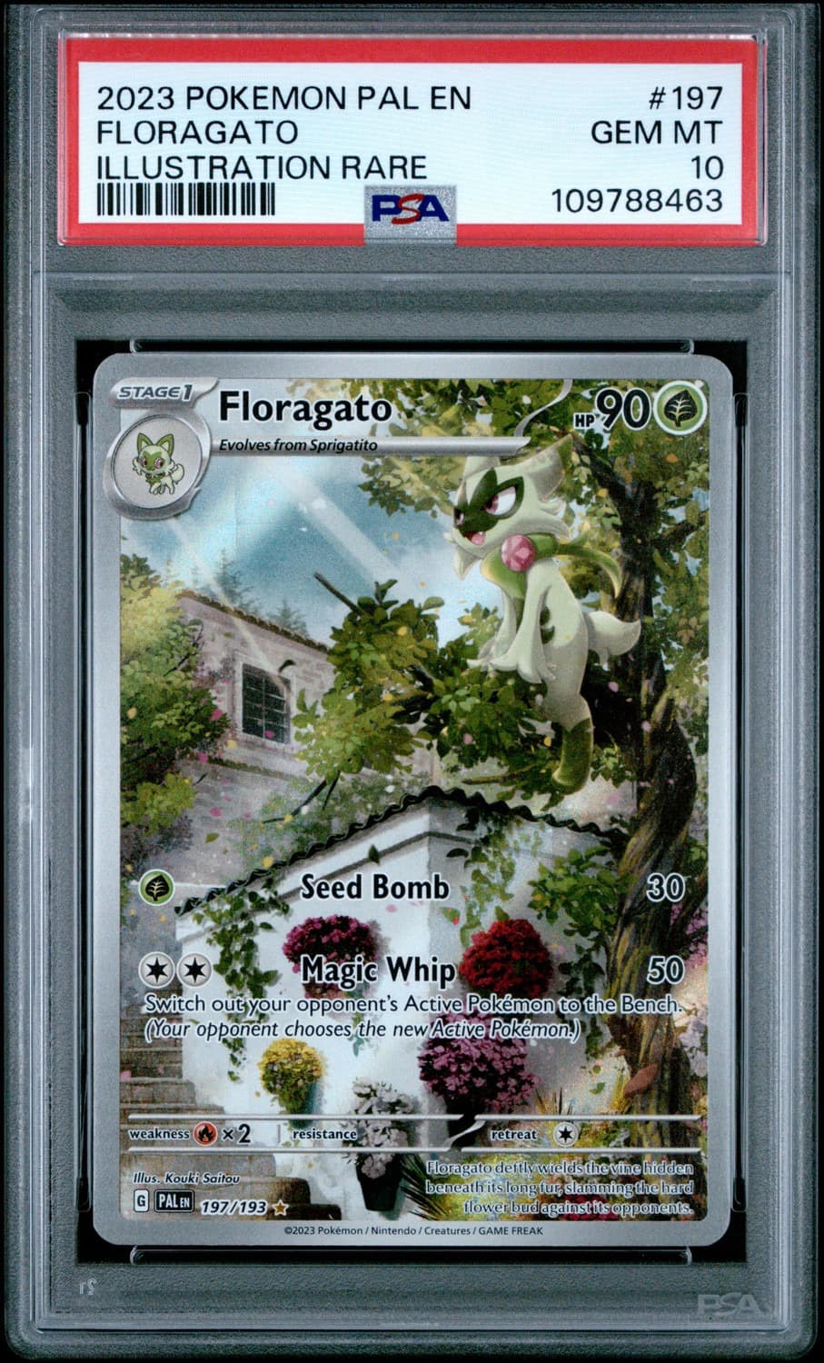 Floragato