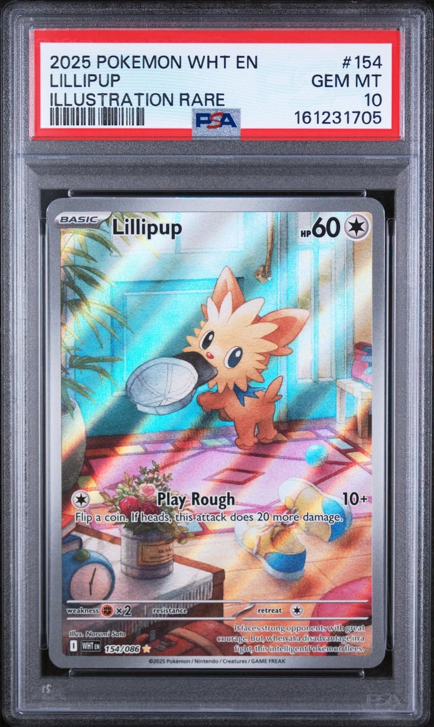 Lillipup
