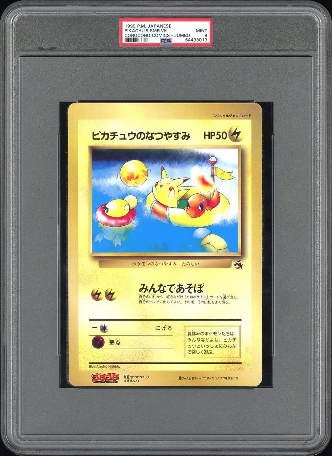 Pikachus Smr.vacation