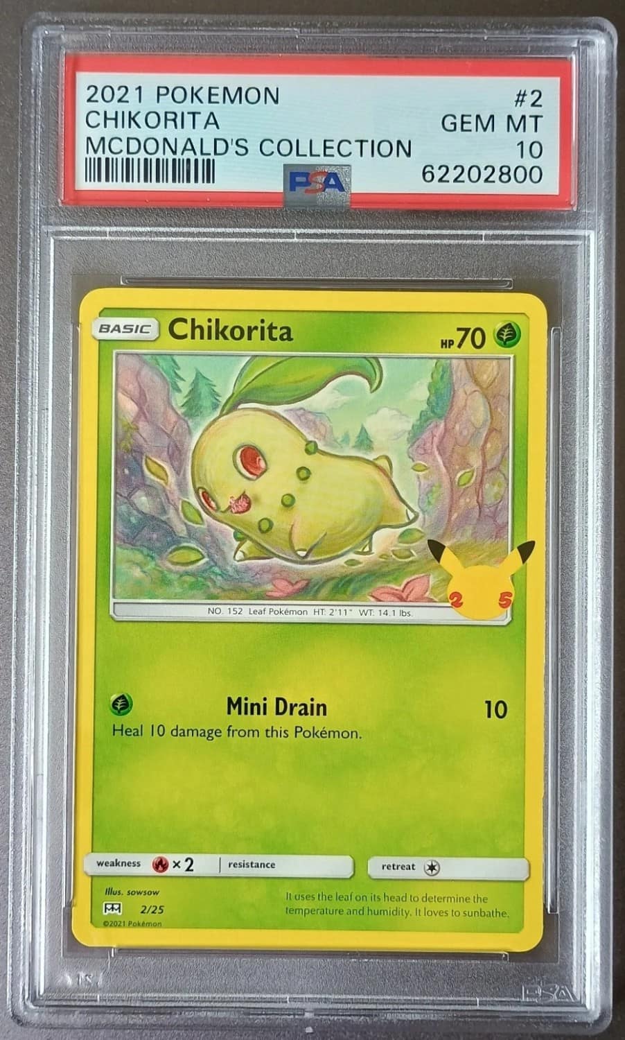 Chikorita