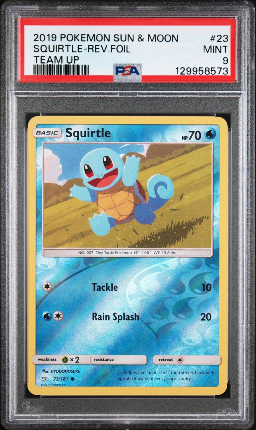 Squirtle