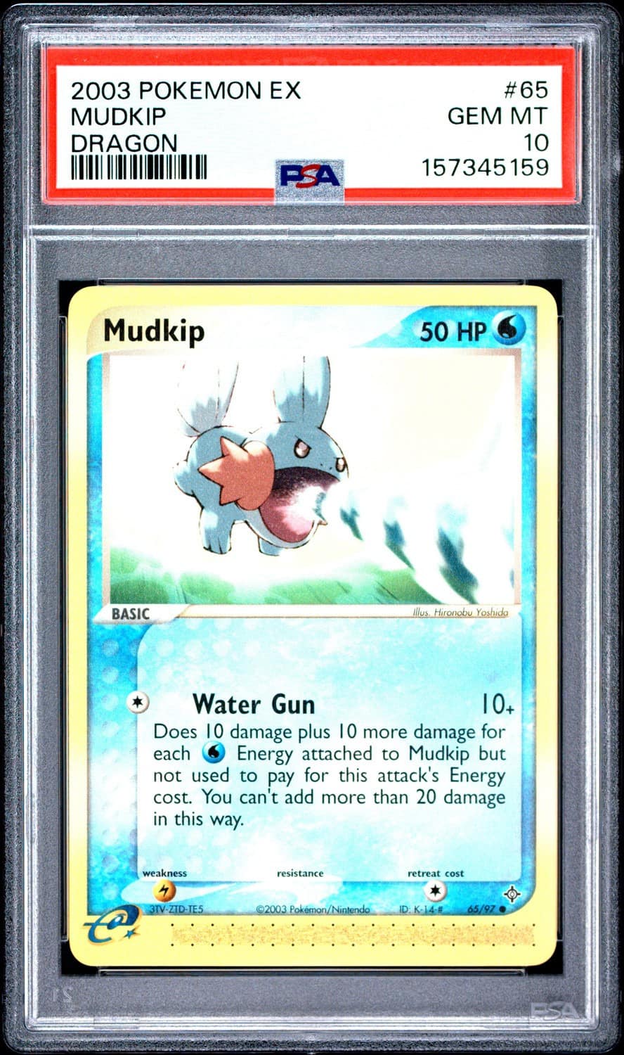 Mudkip