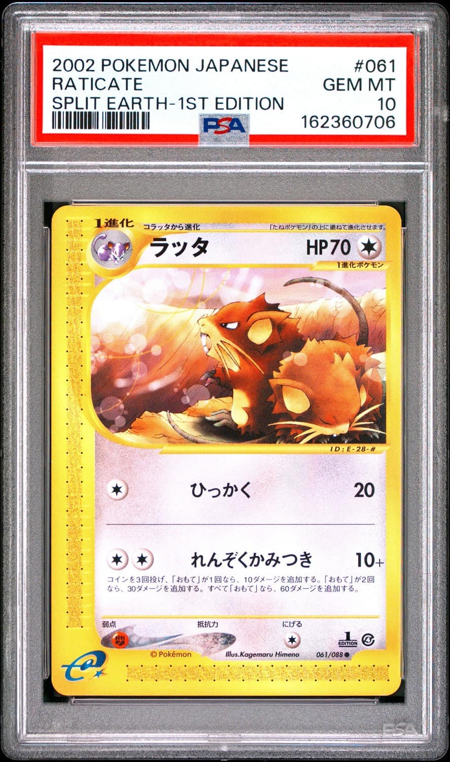 Raticate