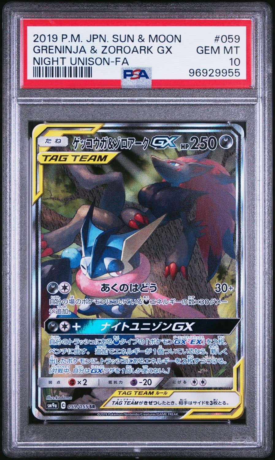 Greninja & Zoroark Gx