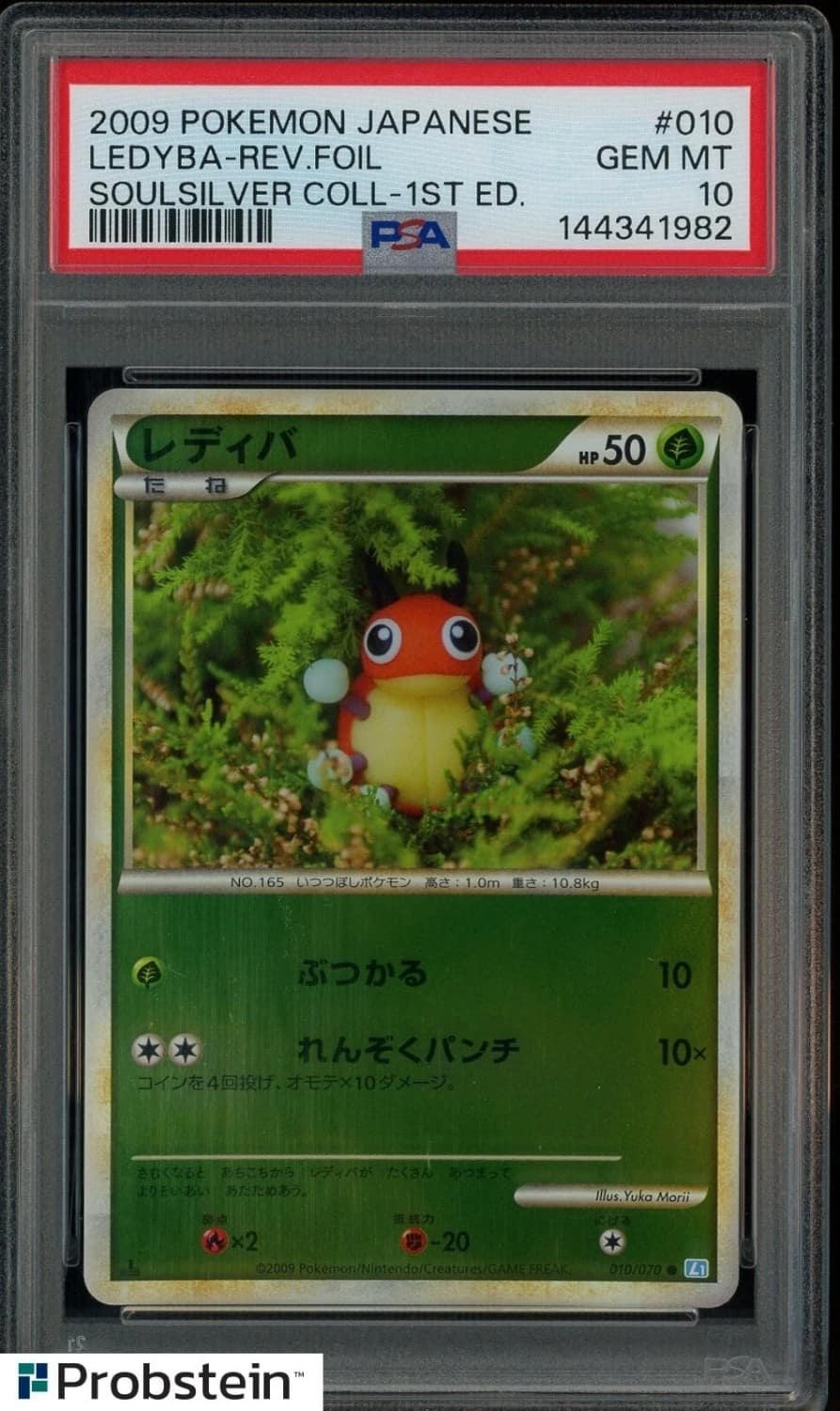 Ledyba