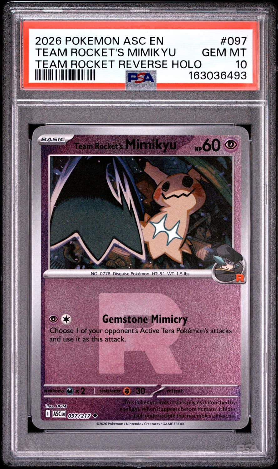Team Rocket'S Mimikyu