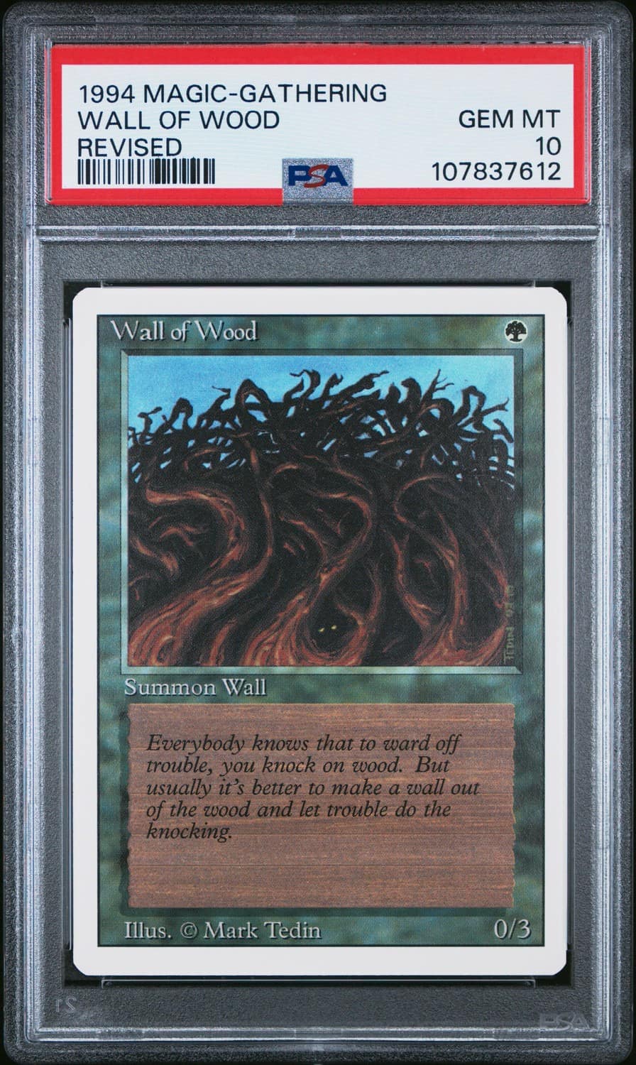 Wall Of Wood
