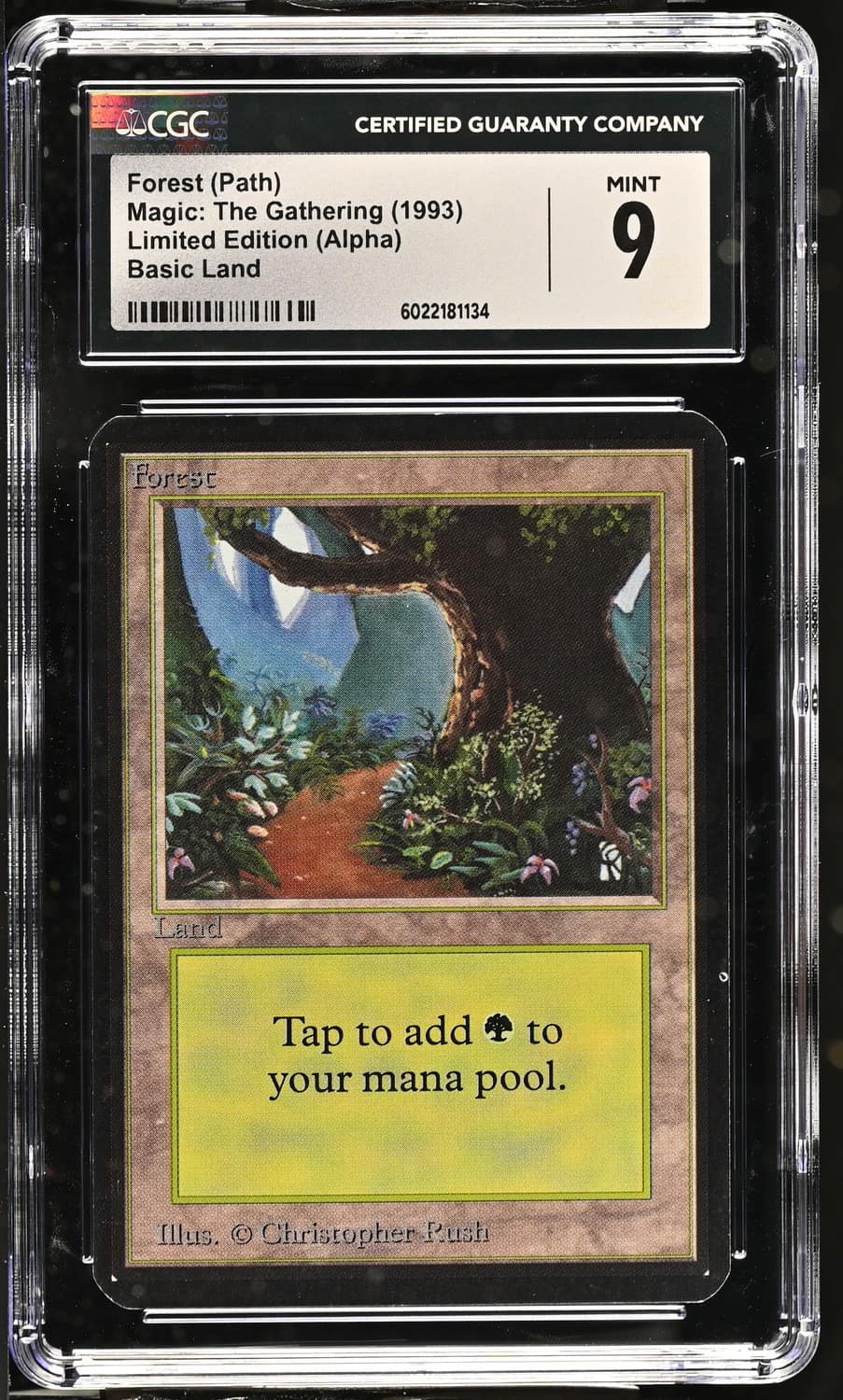 Forest (path)
