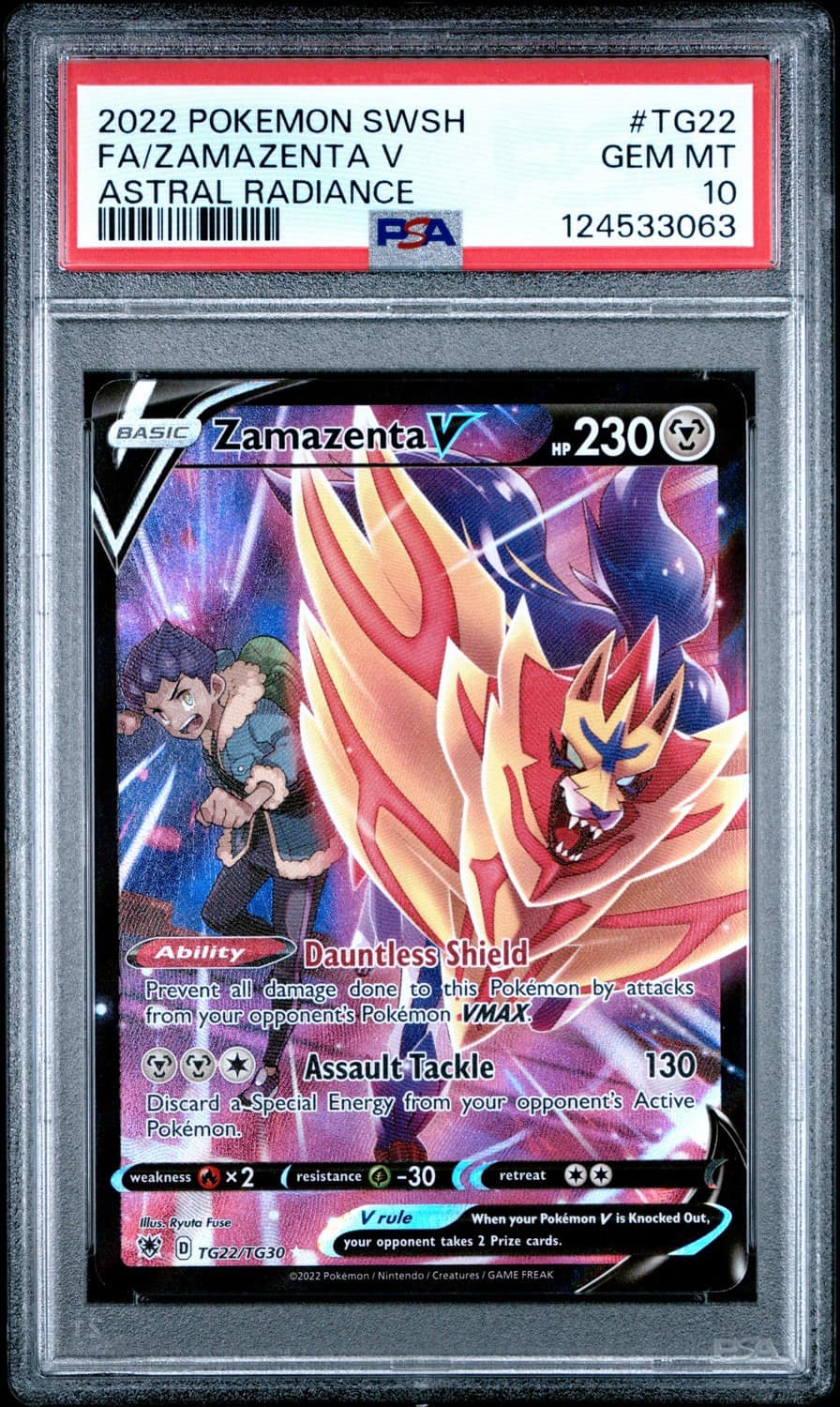 Zamazenta V
