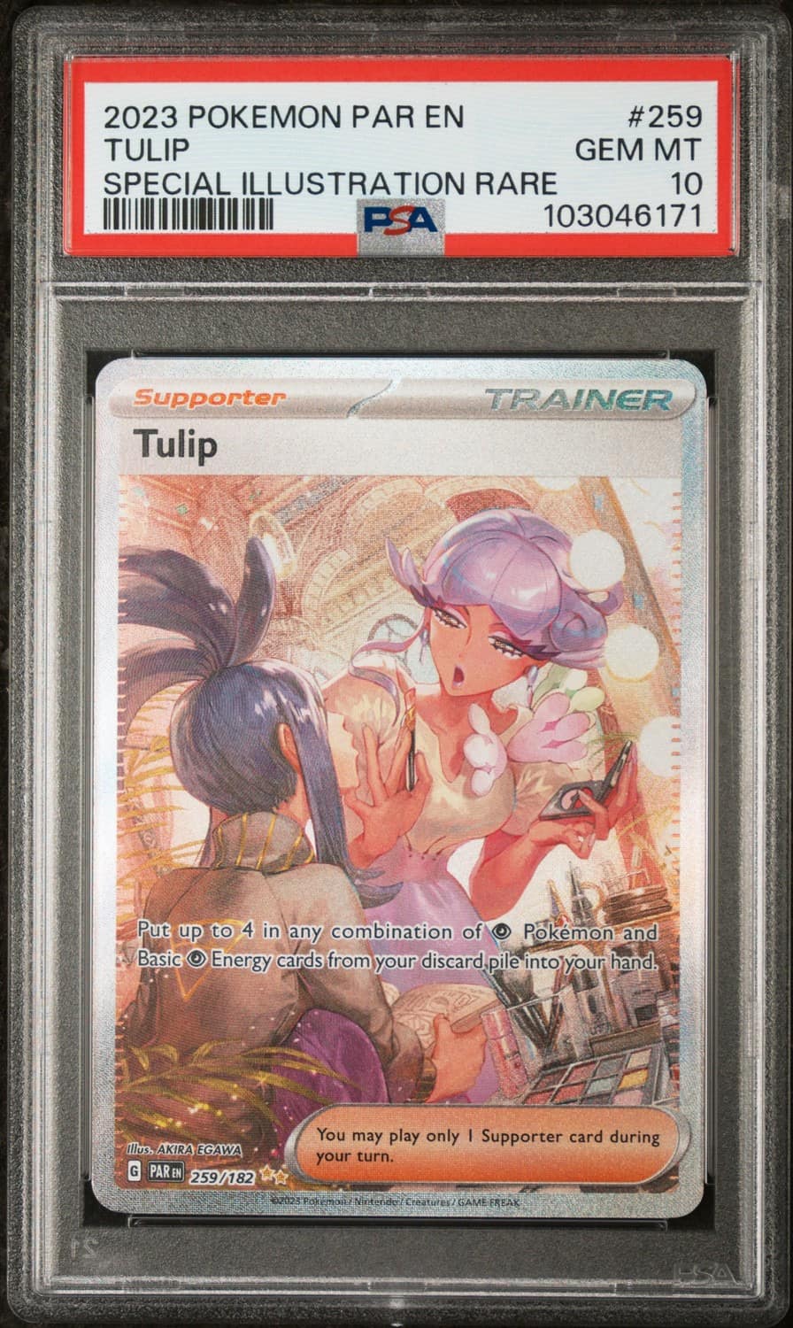 Tulip