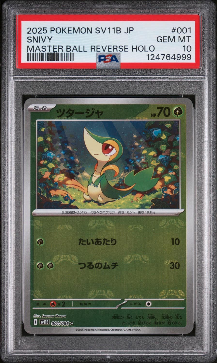 Snivy