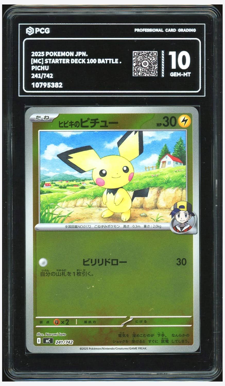 Ethan'S Pichu