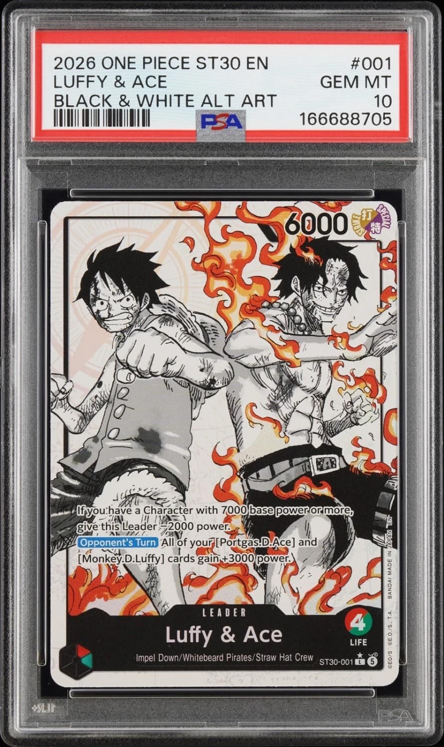 Luffy & Ace