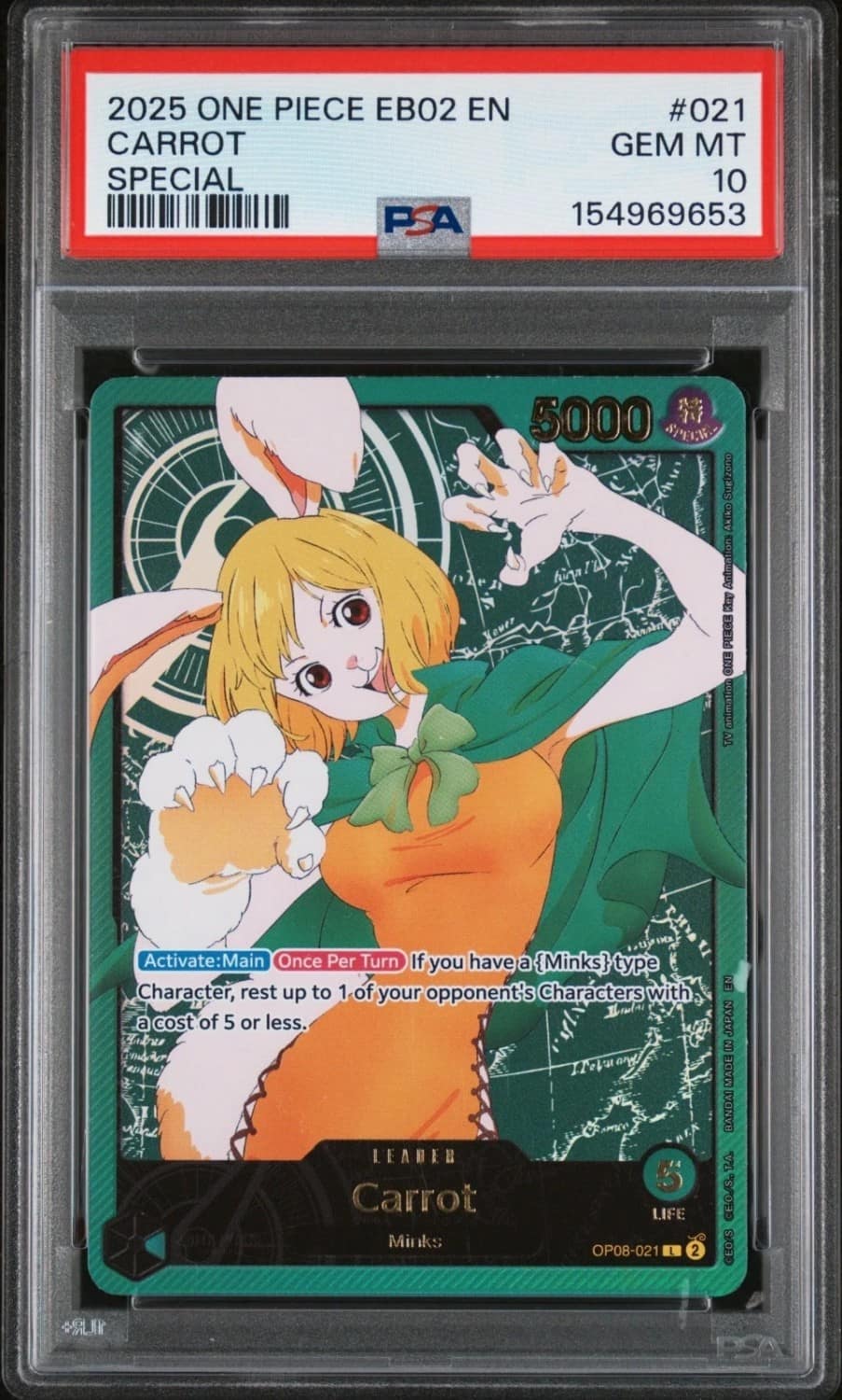 Carrot